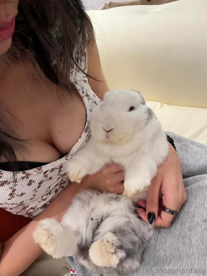 Bunnyyy he looks so scared 