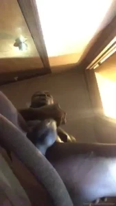 Jacktherippher1 part 2