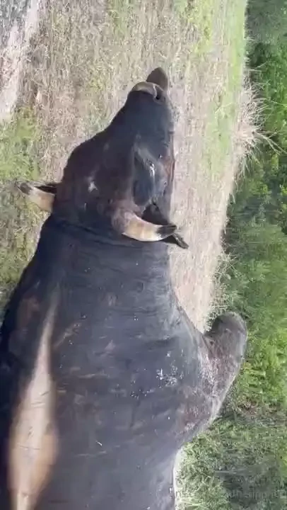 Only the og fans can name this place and which company i was shooting 