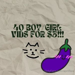 40 boy girl vids super cheap deal