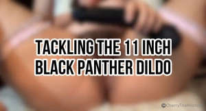 Tackling the 11 inch blank panther dildo i got this new absolutely