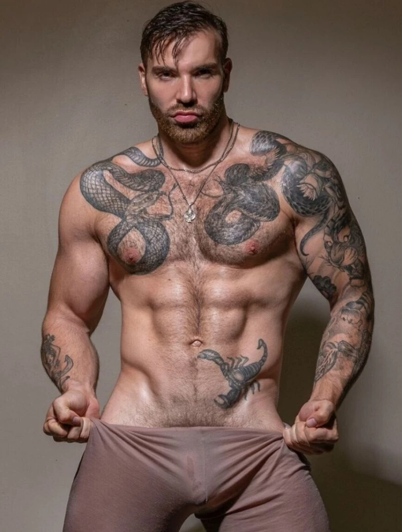 Themaxhilton nbsp pornstar model bodybuilder pro stripper and streamer part 40 