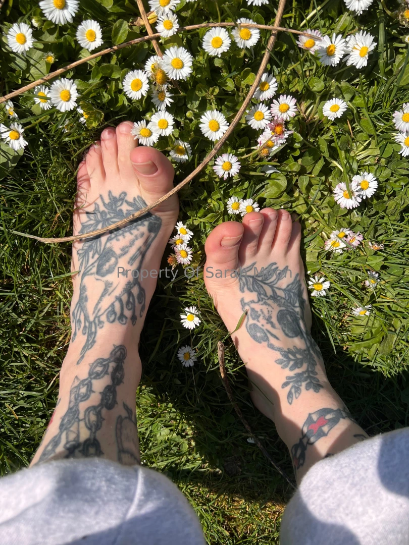 Spring has sprung part 24 