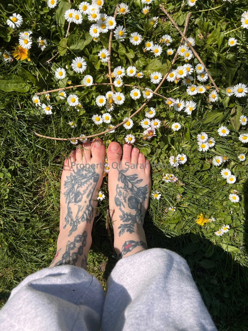 Spring has sprung part 23 