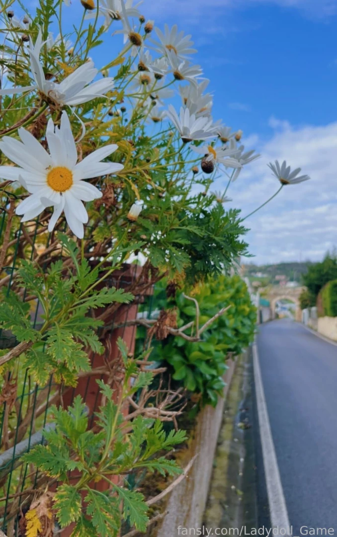 Just needed to clear my head after such a rough week of exams somehow 