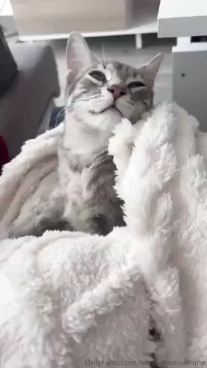 I m sharing a part of my life with you these are my babies and i have 