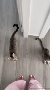 I wanna share with you a little piece of my life that s needing some part 2