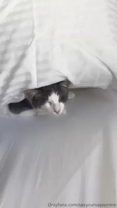 These days have been rough my babies have been sick i wanted to ask part 2 