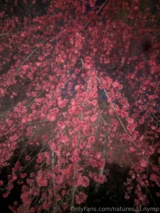 Rather be losing myself in nature making of art or sex or food i ve
