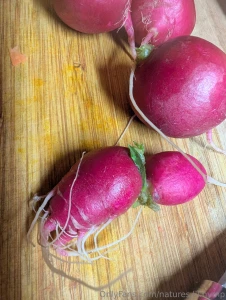 Meal prep stay healthy stay dirty well wash the dirty veggies but also part 1