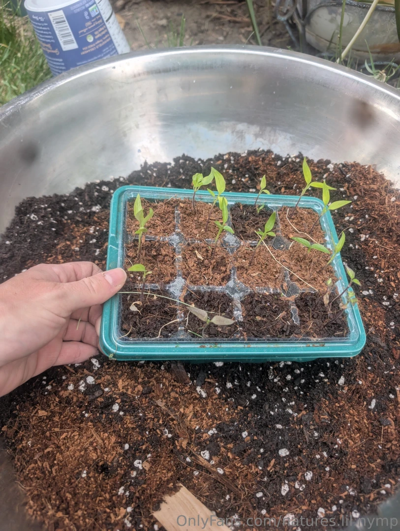 I like dirt https youtu be 5fdjdfxid70 si ei4t_kzgruv1vqhz part 2 