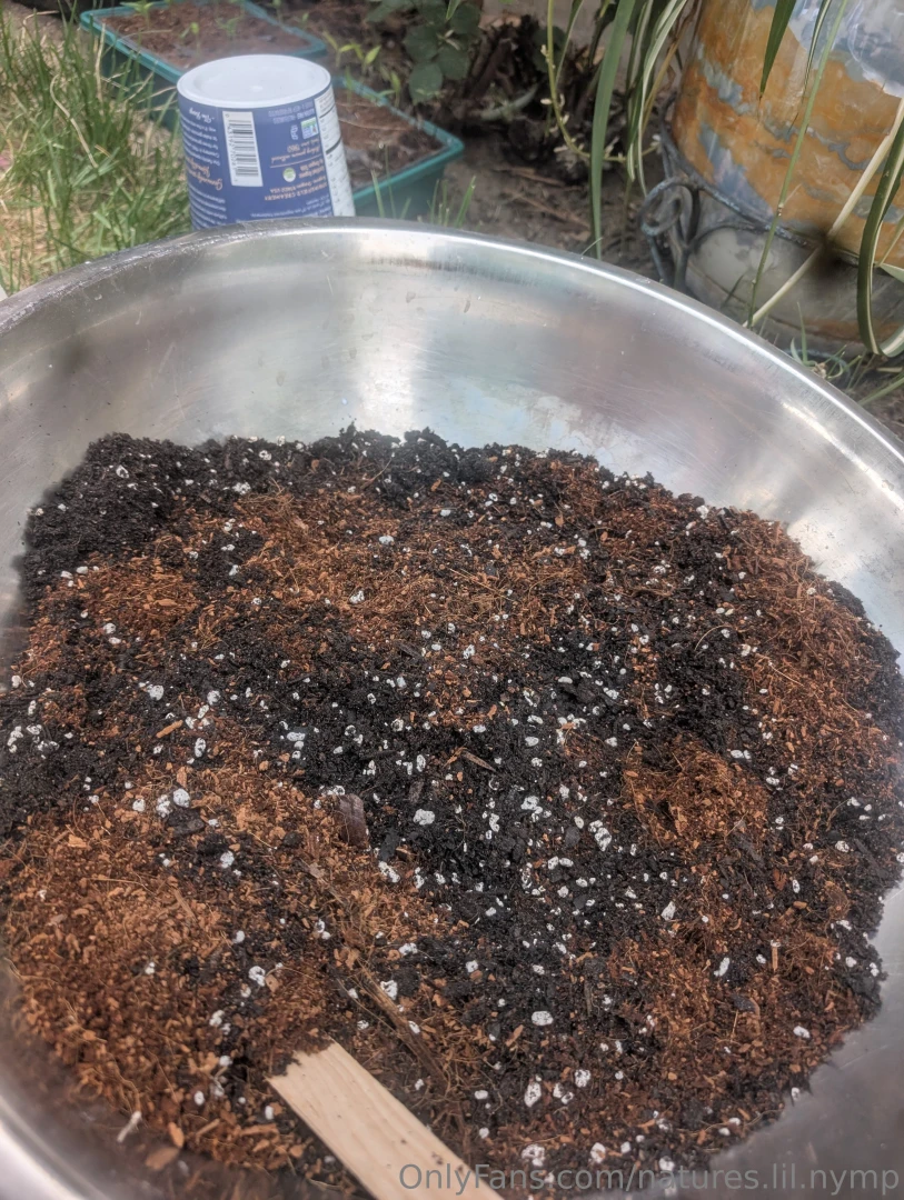 I like dirt https youtu be 5fdjdfxid70 si ei4t_kzgruv1vqhz part 3 