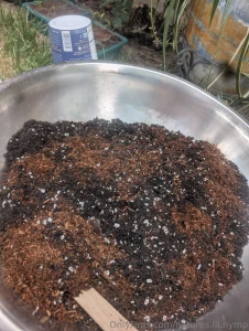 I like dirt https youtu be 5fdjdfxid70 si ei4t_kzgruv1vqhz part 3