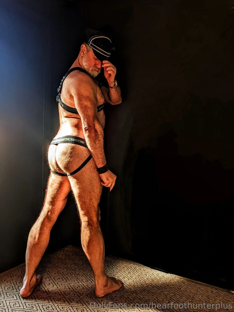 Sharing a tbt set of sir in his harness since it s iml weekend hope part 3 