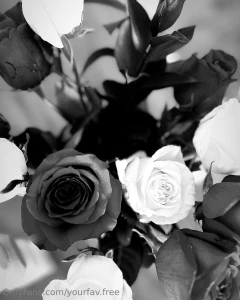 Your weakness is my fuel my power