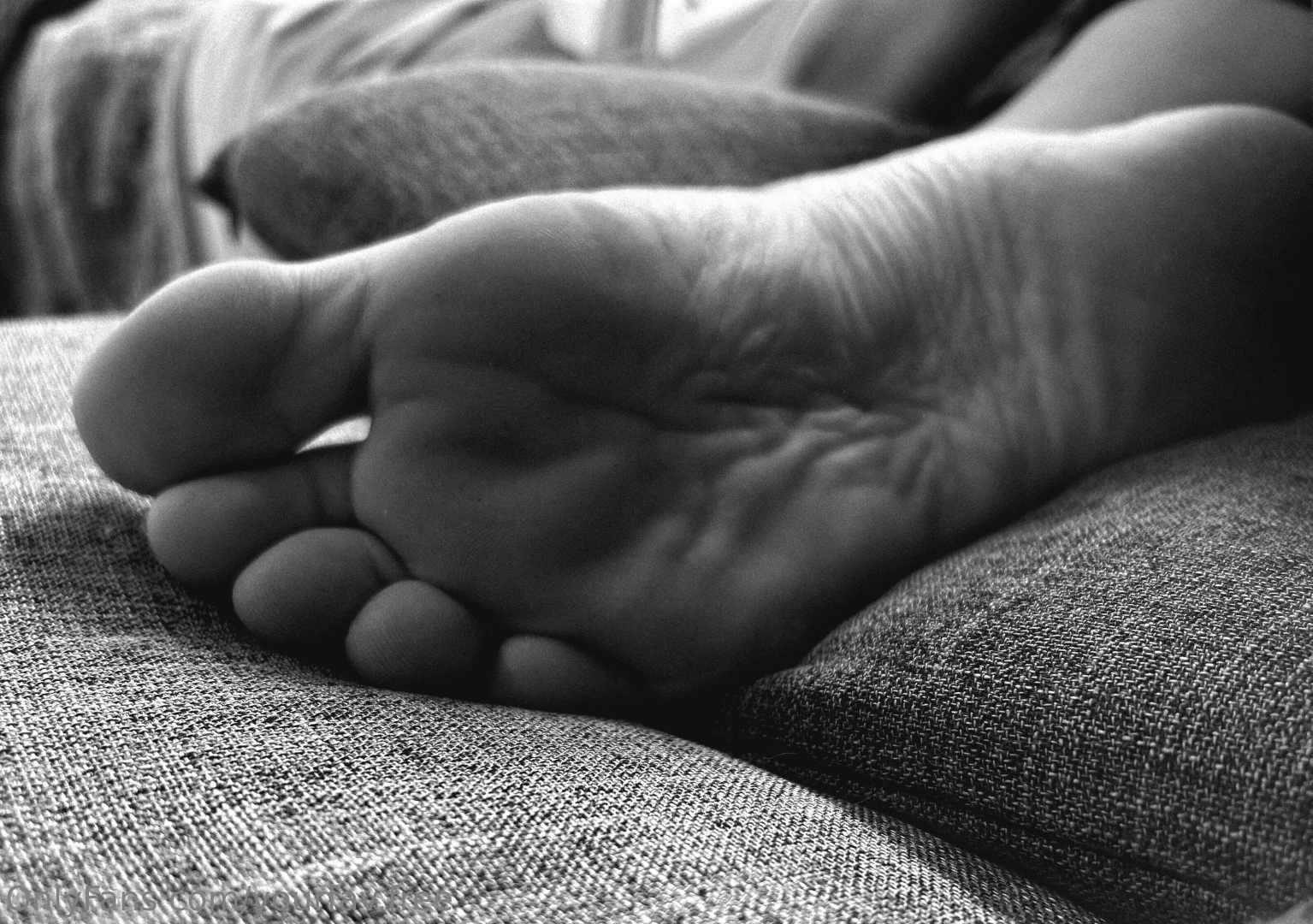 If i tested your obedience right now would you pass 