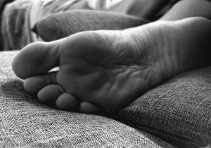 If i tested your obedience right now would you pass