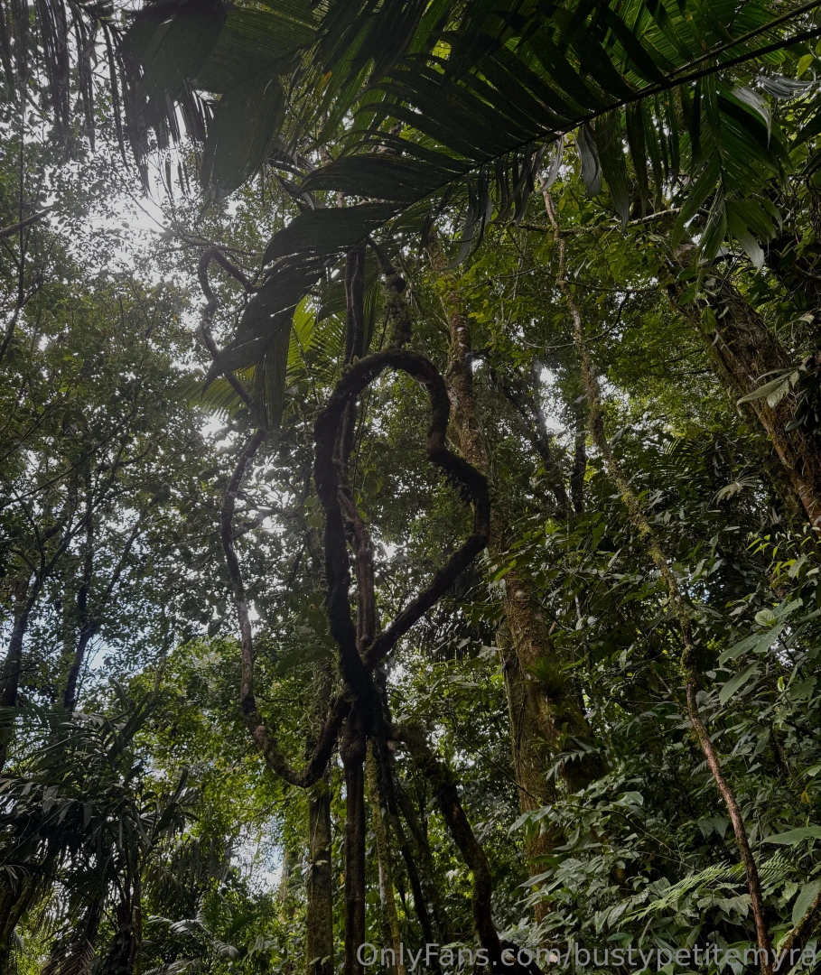 Happy valentine s day i love you all tip to buy me some pizza and 