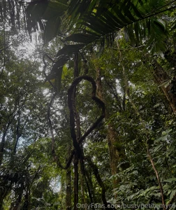 Happy valentine s day i love you all tip to buy me some pizza and