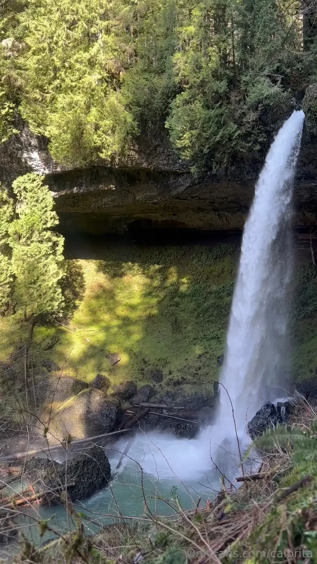 Went for another hike today that s me cumming for you 