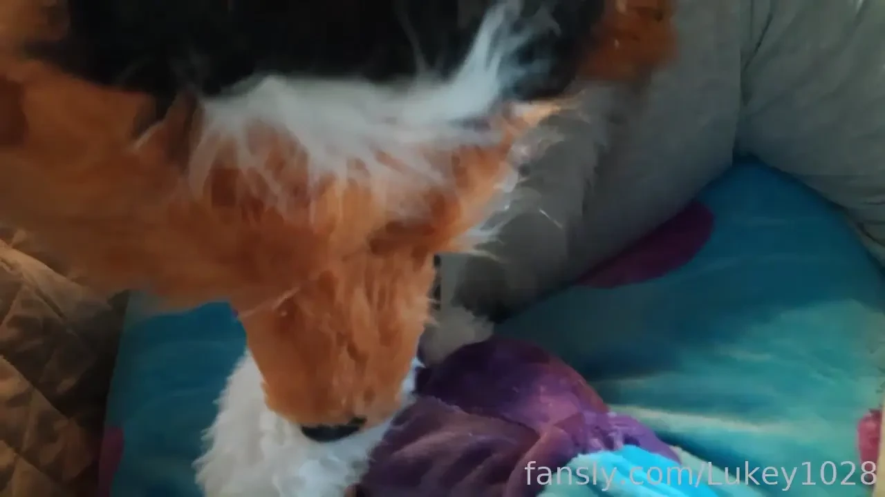 The chubby furry fox gives her blue monster boyfriend a blowjob sorry 