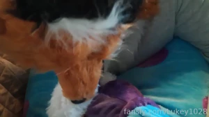 The chubby furry fox gives her blue monster boyfriend a blowjob sorry