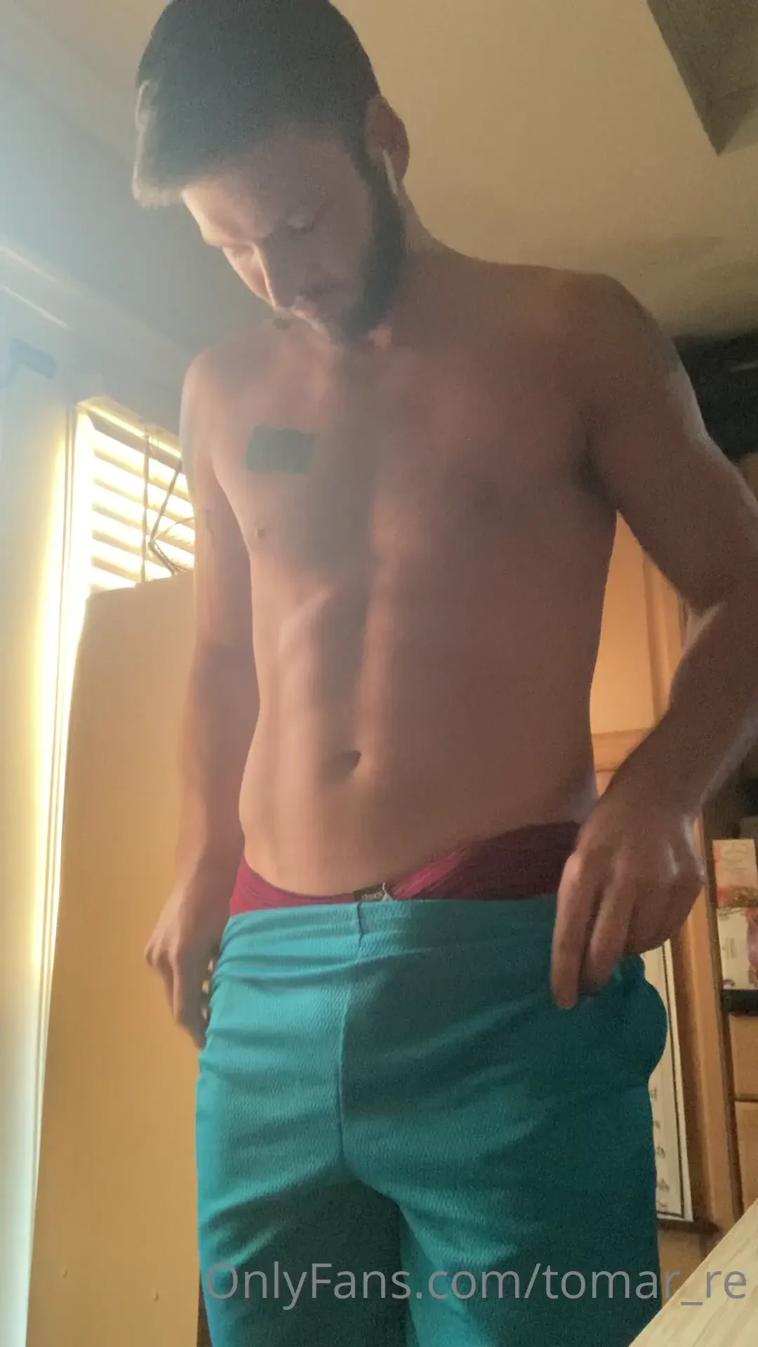 Morning wood in the morning sun 