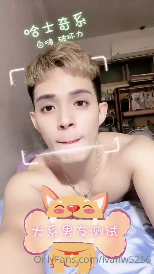 What kind of dog ivan be like 