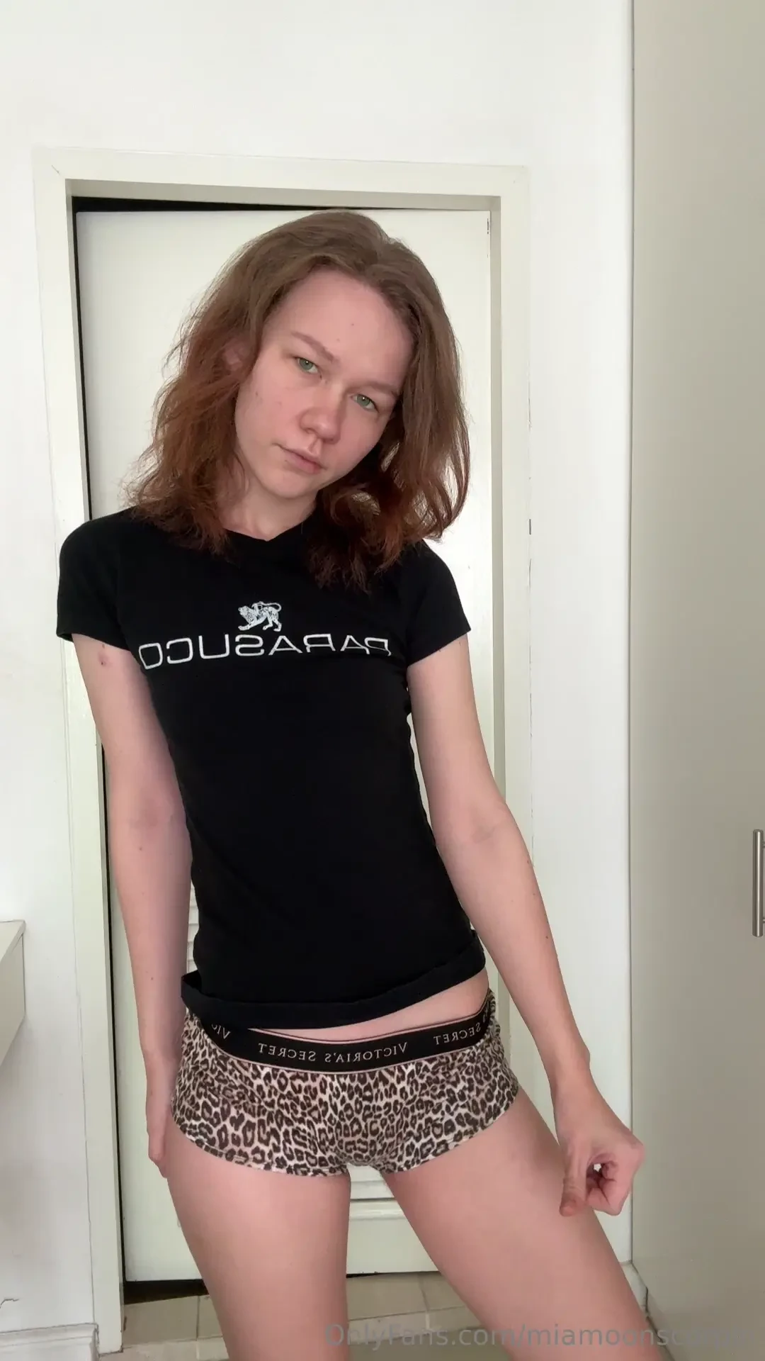 What if there were vine videos 