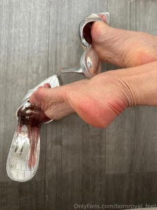 Nibble on my heels part 7