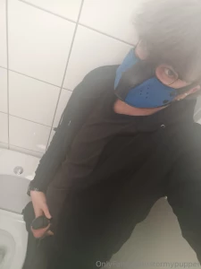 Puppy locked in at work