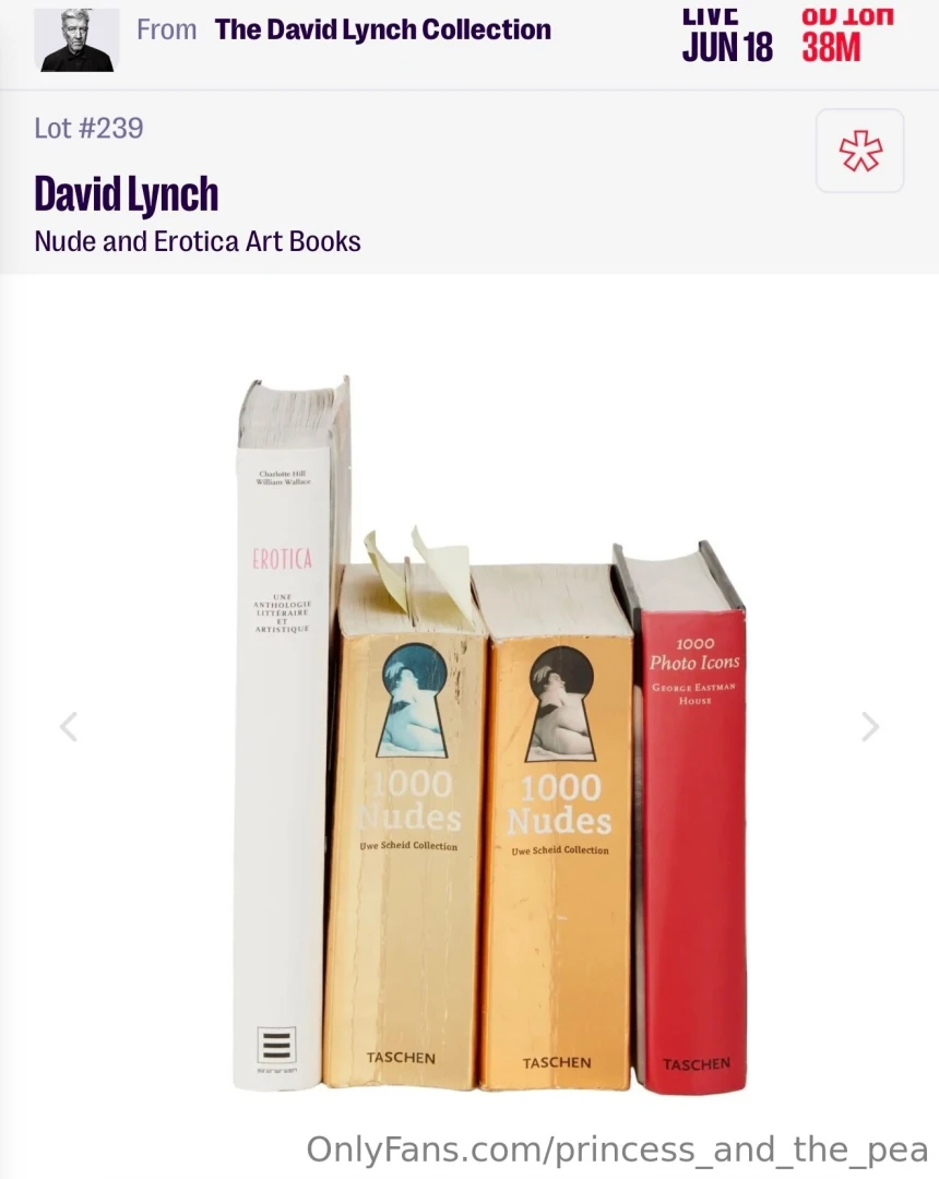 Okay but who s putting in a bid for me https www juliensauctions com 