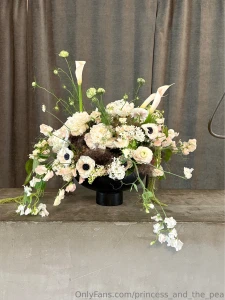 Pea and her garden part 6