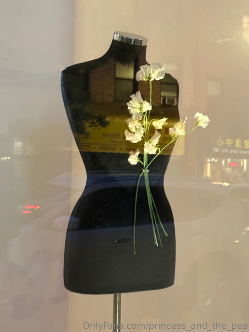 Pea and her garden part 5 