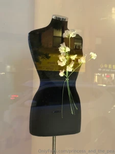 Pea and her garden part 5