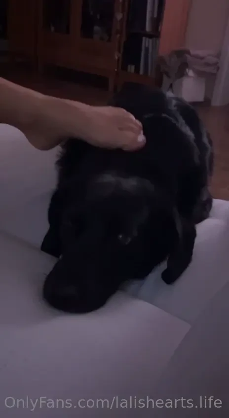 I think my dog likes my feet who else does 