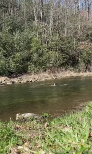 Nakey cold plunge i went in twice so cold but so rejuvenating to my