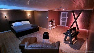 Getting there bdsm playroom almost done