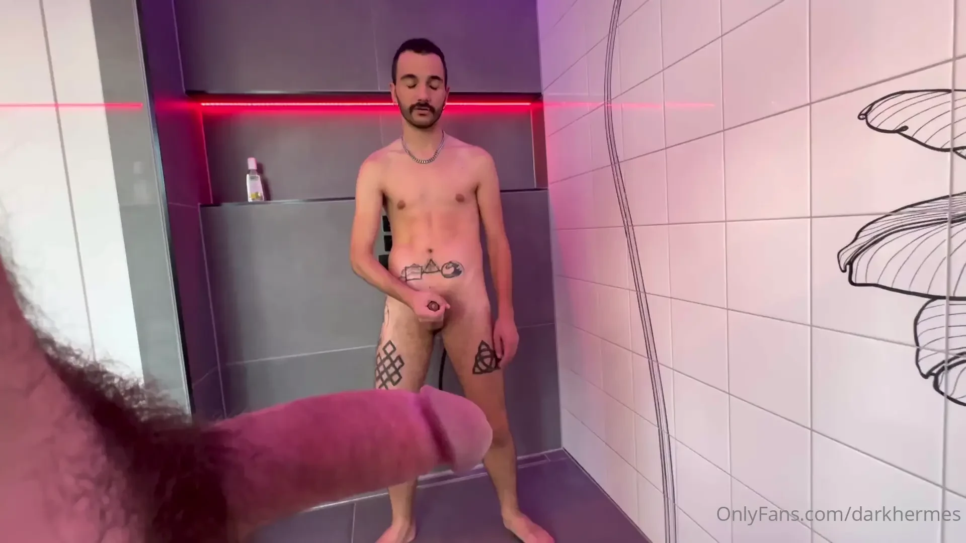 New breeding adventure with berlinloads 