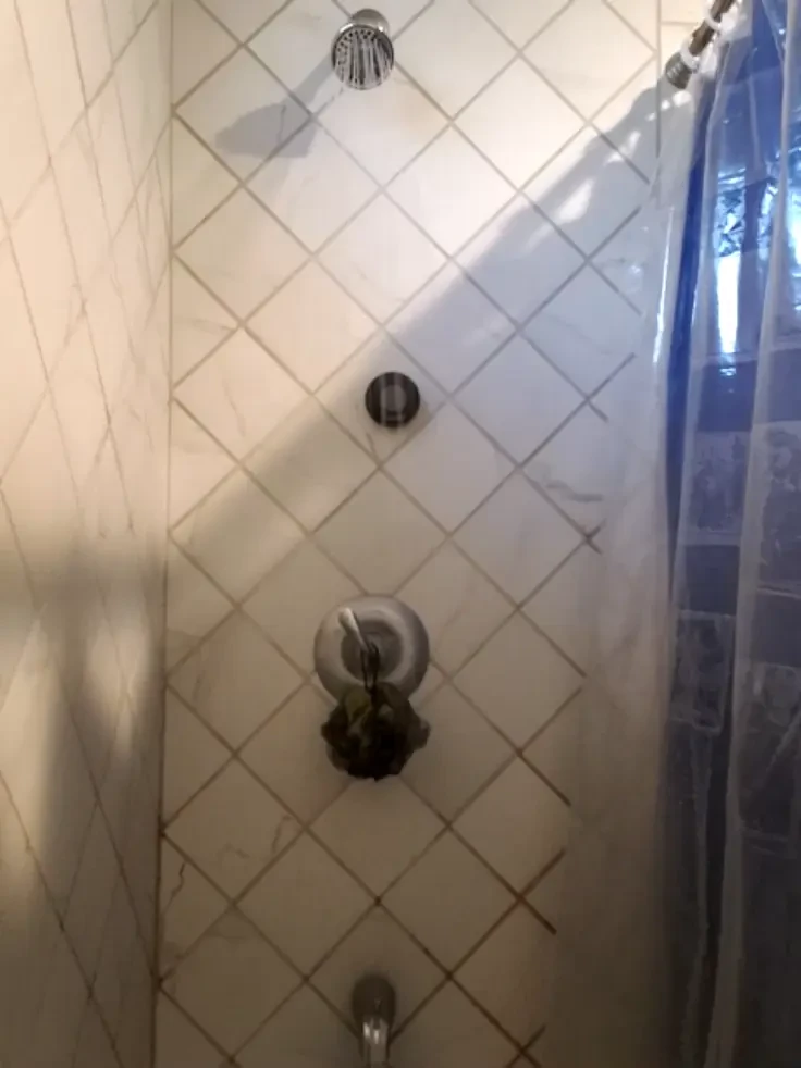 Stream started at 02 03 2020 09 21 pm 