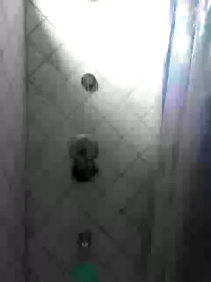 Stream started at 02 19 2020 04 06 pm 