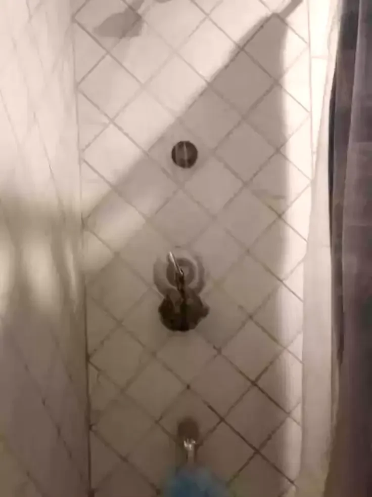 Stream started at 02 25 2020 05 56 am 