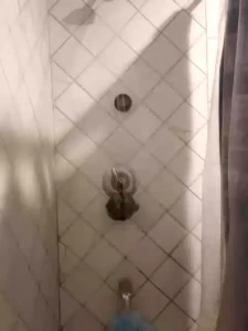 Stream started at 02 25 2020 05 56 am