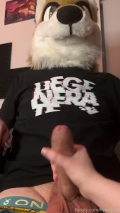 Taming that dumb fox with paws once again furry fursuit fursuits