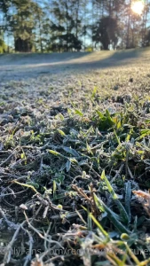 Happy monday i woke up to ice on my windshield and frost on my roof