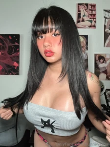 How manny kitty here p