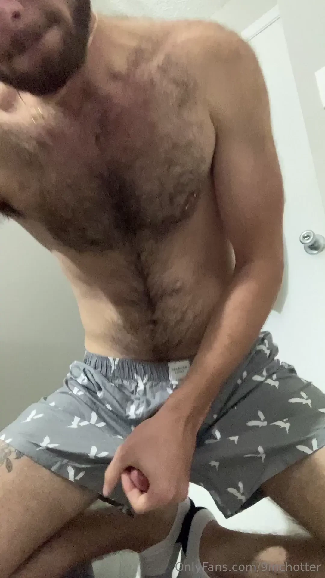 Through the fly part 2 