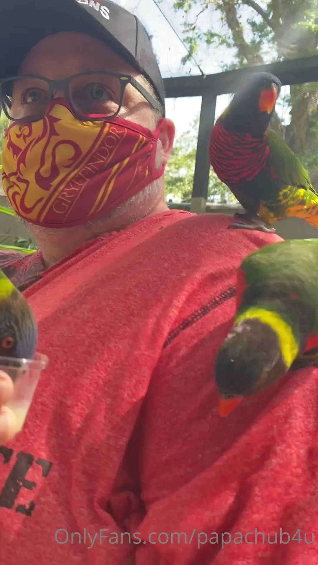 Went to busch gardens today and feed the lories they are so beautiful 