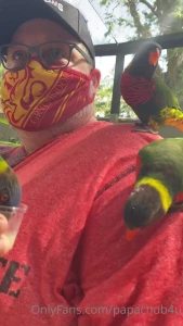 Went to busch gardens today and feed the lories they are so beautiful