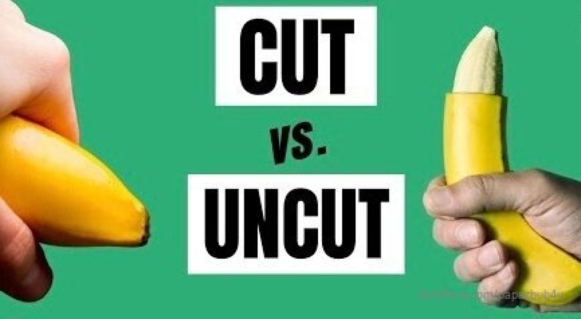 Let s have a little fun cut or uncut what do you prefer when things 